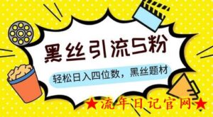 S粉变现,轻松日入四位数,黑丝题材+情感话术-流年日记