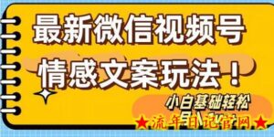 微信视频号情感文案最新玩法,小白轻松月入1万+无脑搬运-流年日记