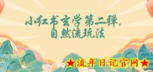 全新自然流玩法小红书玄学日入2800+,小白也可轻松入手-流年日记