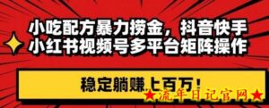 小吃配方暴力捞金，抖音快手小红书视频号多平台矩阵操作，稳定躺赚上百万！-流年日记