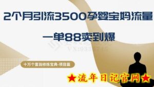 十万个富翁修炼宝典之13.2个月引流3500孕婴宝妈流量,一单88卖到爆-流年日记