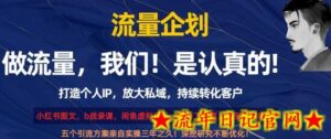 流量企划，打造个人IP，放大私域，持续转化客户-流年日记