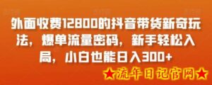 外面收费12800的抖音带货新奇玩法,爆单流量密码,新手轻松入局,小白也能日入300+-流年日记
