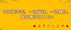 天天薅羊毛,一边省钱,一边赚钱,每天被动收入70+-流年日记