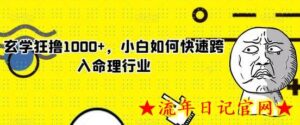 玄学狂撸1000+，小白如何快速跨入命理行业-流年日记