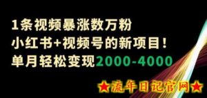 1条视频暴涨数万粉–小红书+视频号的新项目!单月轻松变现2000-4000-流年日记