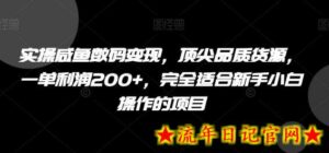 实操咸鱼数码变现，顶尖品质货源，一单利润200+，完全适合新手小白操作的项目-流年日记
