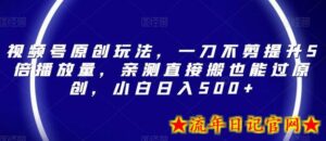 视频号原创玩法,一刀不剪提升5倍播放量,亲测直接搬也能过原创,小白日入500+-流年日记