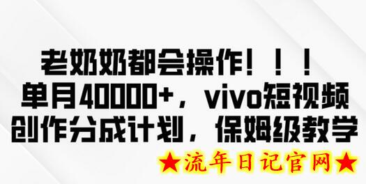 老奶奶都会操作，新平台无脑操作，单月40000+，vivo短视频创作分成计划-流年日记