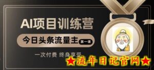 AI项目系列训练营(公众号流量主与今日头条篇)-流年日记
