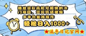 播放量巨高起号超快的冷门项目,漫剪情感视频,可多平台矩阵操作,轻松日入1000+-流年日记