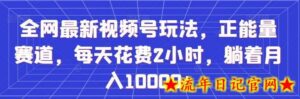 全网最新视频号玩法,正能量赛道,每天花费2小时,躺着月入10000+-流年日记