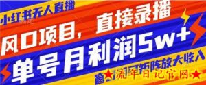 风口项目,小红书无人直播带货,直接录播,可矩阵,月入5w+-流年日记