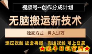 视频号无脑搬运新技术,破原创壕流量,独家方式,爆过视频,还会再爆-流年日记