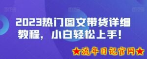 2023热门图文带货详细教程,小白轻松上手!-流年日记
