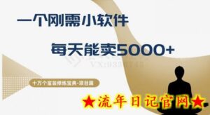 十万个富翁修炼宝典之17.一个刚需小软件，每天能卖5000+-流年日记