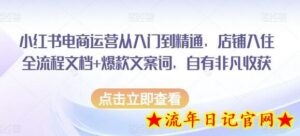 小红书电商运营从入门到精通,店铺入住全流程文档+爆款文案词,自有非凡收获-流年日记