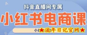 小红书电商高级运营课程，实操教学+案例分析-流年日记