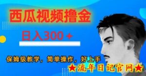 西瓜视频撸金日入300,保姆级教学,简单操作,好上手-流年日记
