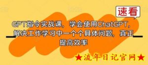 GPT指令实战课,学会使用ChatGPT,解决工作学习中一个个具体问题,真正提高效率-流年日记