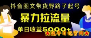 抖音图文带货暴力起号，单日收益5000+，野路子玩法，简单易上手，一部手机即可-流年日记