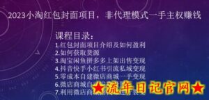 2023小淘红包封面项目，非代理模式一手主权赚钱-流年日记