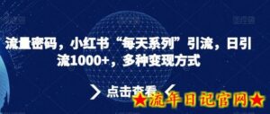 流量密码,小红书“每天系列”引流,日引流1000+,多种变现方式-流年日记
