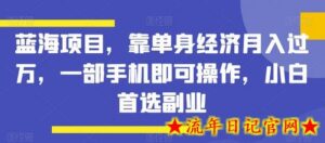 蓝海项目,靠单身经济月入过万,一部手机即可操作,小白首选副业-流年日记