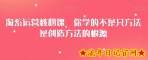 淘系运营核心课，你学的不是只方法是创造方法的根源-流年日记