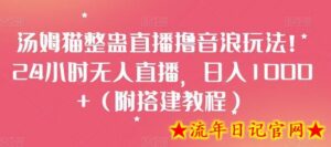 汤姆猫整蛊直播撸音浪玩法!24小时无人直播,日入1000+(附搭建教程)-流年日记