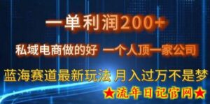 一单利润200私域电商做的好,一个人顶一家公司蓝海赛道最新玩法-流年日记