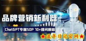 品牌营销新利器:ChatGPT专属SOP,70+提问模板【文档】-流年日记