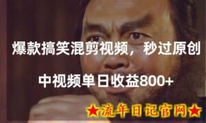 爆款搞笑混剪视频，百分百过原创，单日中视频播放收益800+-流年日记