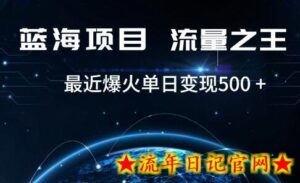 好评返现项目,稳定,小白速学月入过万-流年日记