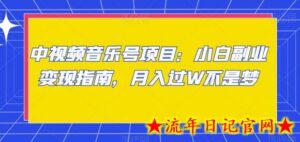 中视频音乐号项目:小白副业变现指南,月入过W不是梦-流年日记