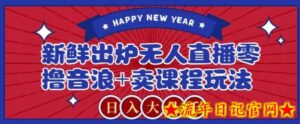 2024最新无人直播零撸音浪+卖课程玩法，日入大几千不是梦-流年日记