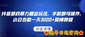 抖音游戏暴力掘金玩法,手机即可操作,小白也能一天3000+保姆教程-流年日记