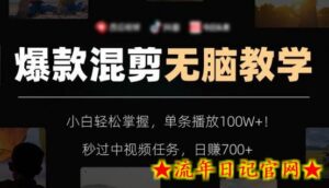 爆款混剪无脑教学，小白轻松掌握，单条播放100W+！秒过中视频任务，日赚700+-流年日记