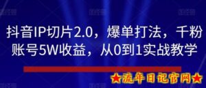 抖音IP切片2.0,爆单打法,千粉账号5W收益,从0到1实战教学-流年日记