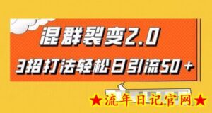 混群快速裂变2.0，3招打法轻松日引流50＋，单号月入6000＋-流年日记
