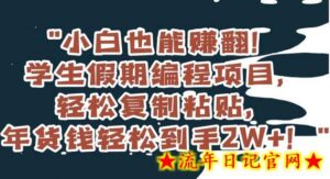 小白也能赚翻!学生假期编程项目,轻松复制粘贴,年货钱轻松到手2W+-流年日记