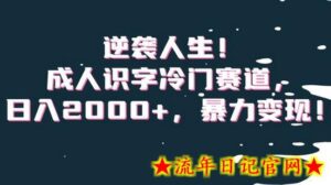 逆袭人生!成人识字冷门赛道,日入2000+,暴力变现!-流年日记
