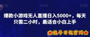 爆款小游戏无人直播日入5000+,每天只需二小时,最适合小白上手-流年日记