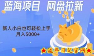 蓝海项目网盘拉新,新人小白也可操作,每月收入5000+-流年日记