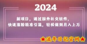 2024新项目,通过国外社交软件,快速涨粉精准引流,轻松做到月入上万-流年日记