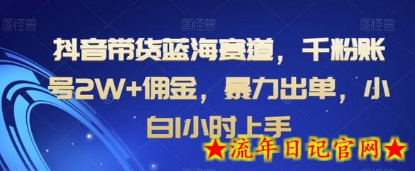 抖音带货蓝海赛道，千粉账号2W+佣金，暴力出单，小白1小时上手-流年日记