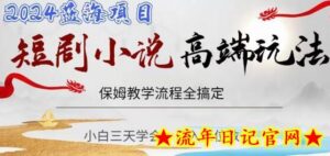 短剧高端玩法,保姆教学全搞定,小白日入三位数-流年日记