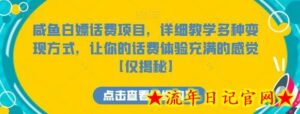 咸鱼白嫖话费项目，详细教学多种变现方式，让你的话费体验充满的感觉-流年日记