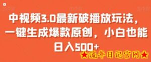 中视频3.0最新破播放玩法,一键生成爆款原创,小白也能日入500+-流年日记