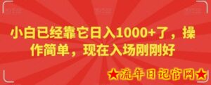 小白已经靠它日入1000+了,操作简单,现在入场刚刚好-流年日记